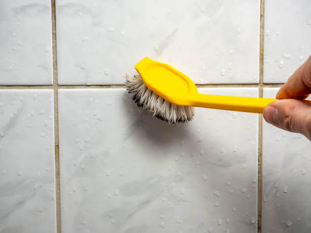 Best Residential Mold Removal  in North Apollo, PA