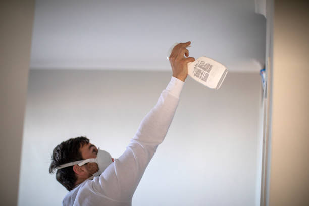 Best Mold Remediation  in North Apollo, PA
