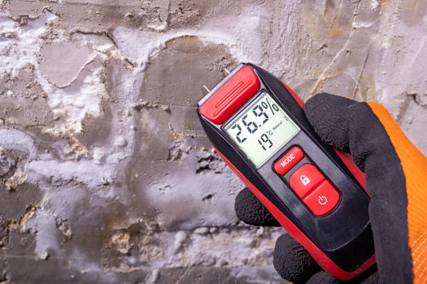 Best Certified Mold Removal  in North Apollo, PA