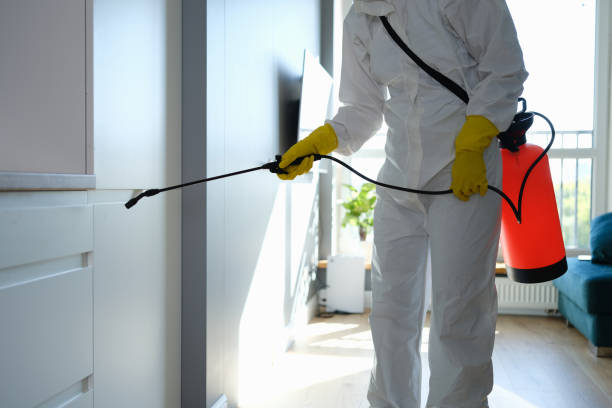 Best Local Mold Removal Service  in North Apollo, PA